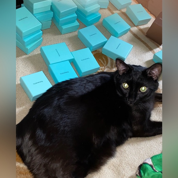 🇨🇦LIMITED TIME SALE 15% OFF REDUCED ITEMS FOR THIS WEEK ONLY, GOD BLESS 🇨🇦 - Picture 1 of 4